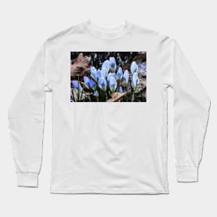 Spring Crocus 2 Long Sleeve T-Shirt